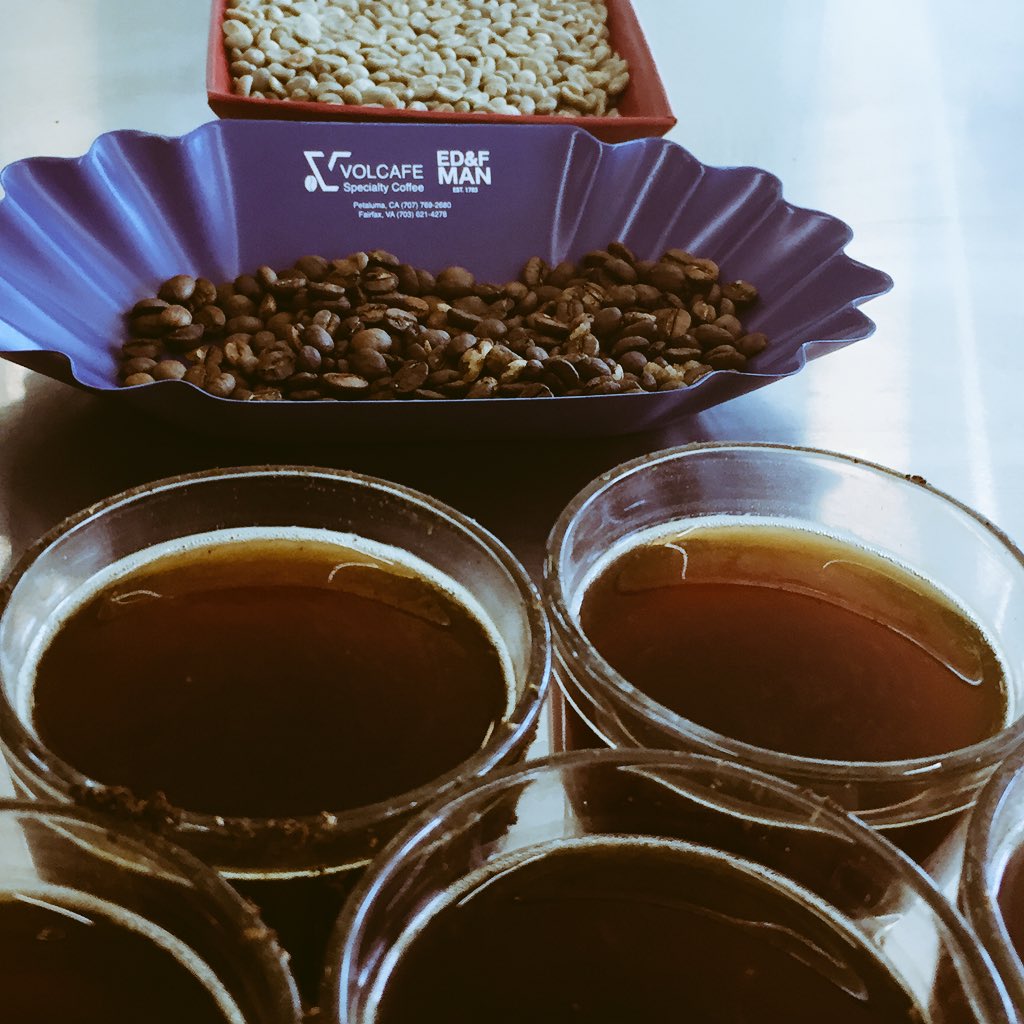 Cupping Coffee at Genuine Origin's lab