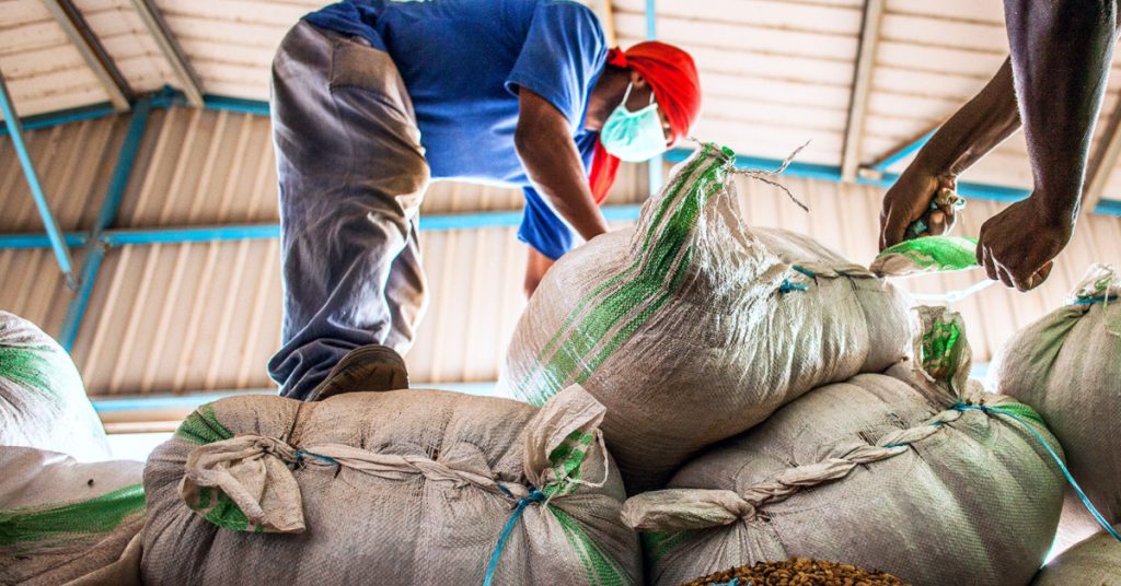Uganda coffee warehouse and dry mill