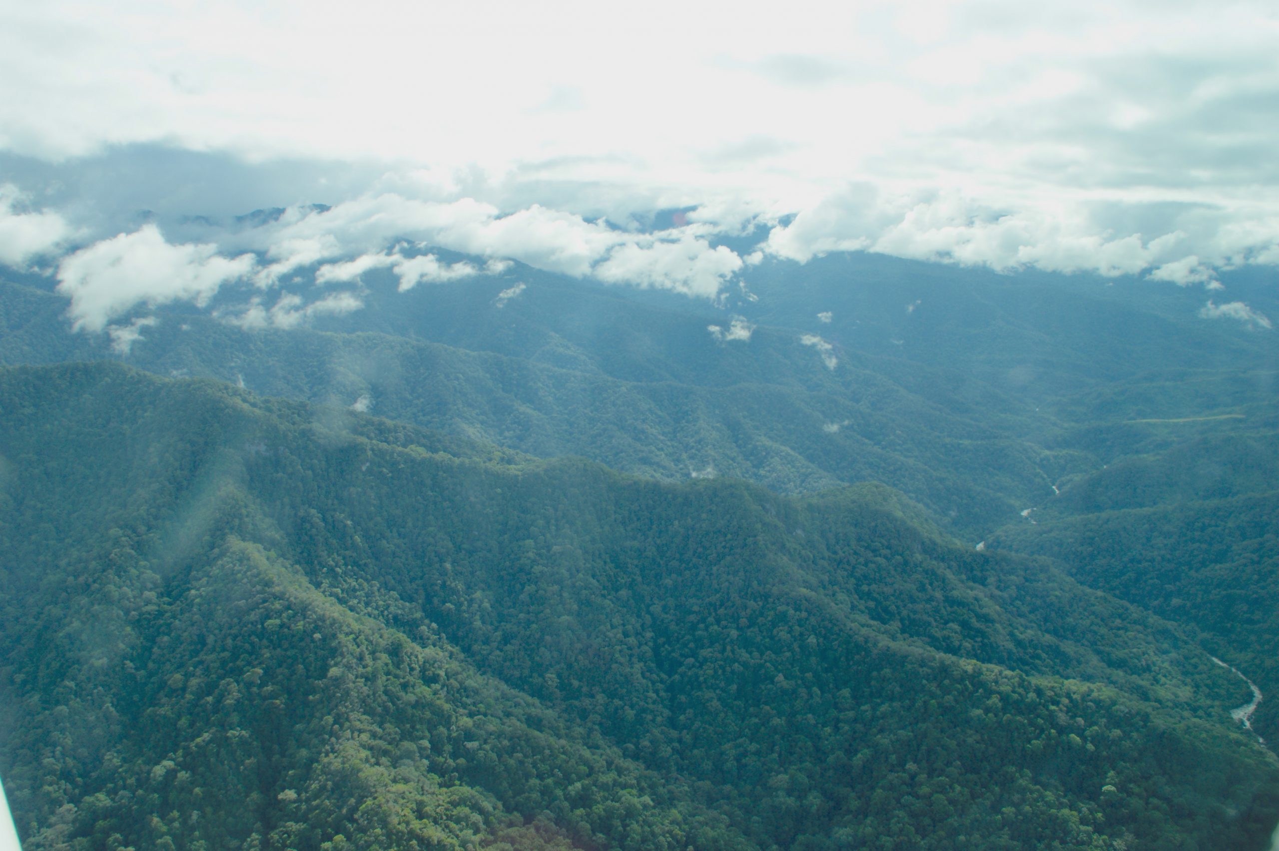 PNG Coffee terrain