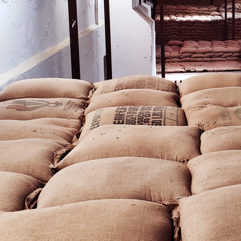Jute bags with green coffee Antigua, Guatemala