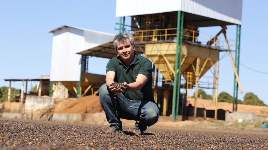 Sun drying coffee in Brazil