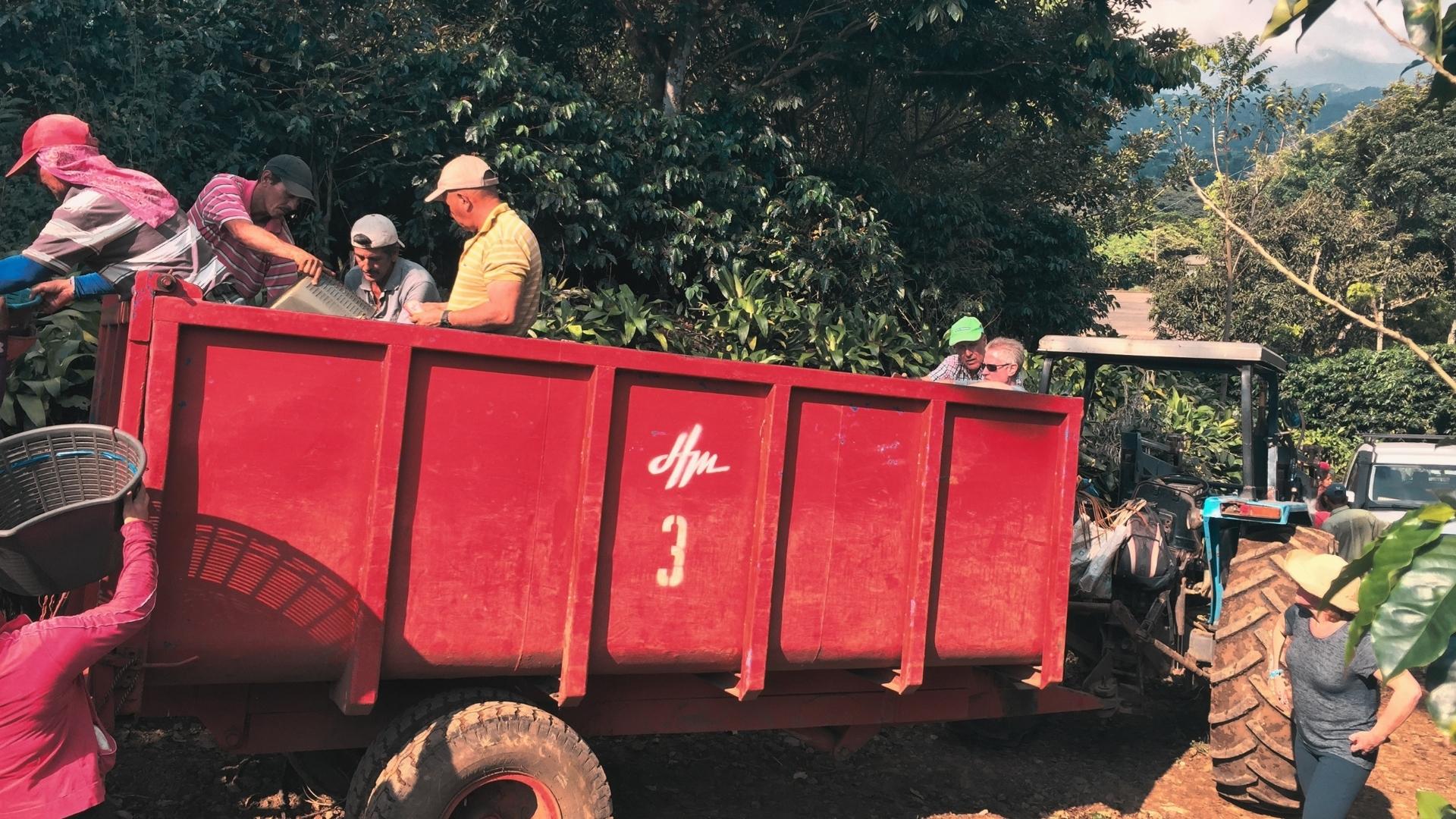 Costa Rica harvest