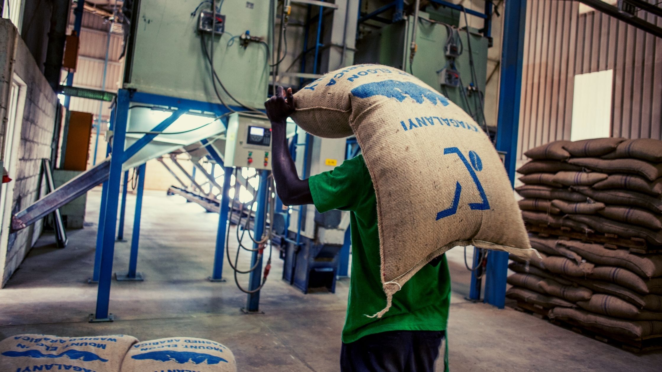 green coffee supply chain
