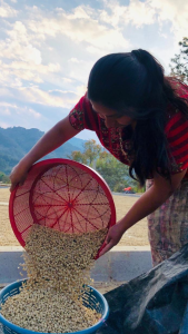 La Morena Producer