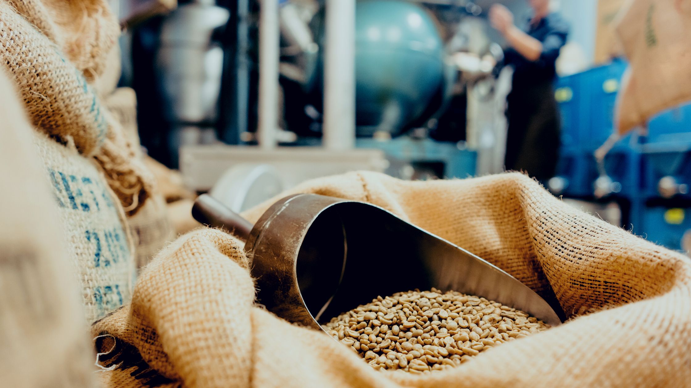 Green coffee beans stored in a roastery