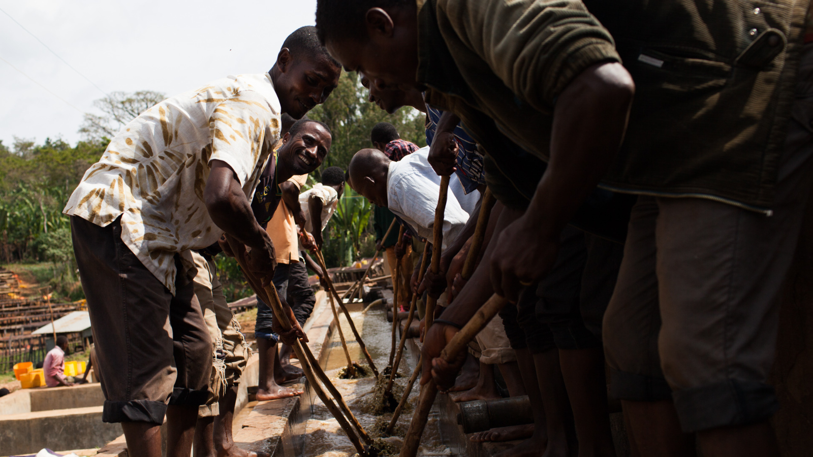 Pushing coffee along in washed processing at a wet mill in Ethiopia