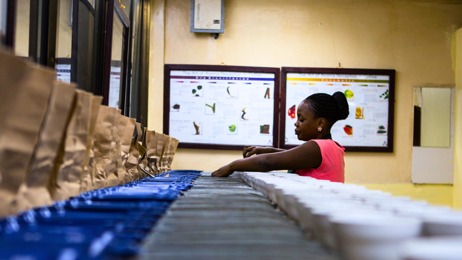 The cupping lab at Taylor Winch Tanzania with a cupper preparing to cup numerous Tanzanian coffees