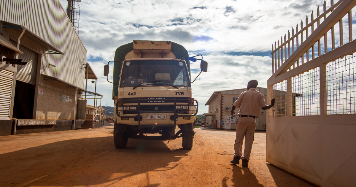 Transporting green coffee from the mill to port